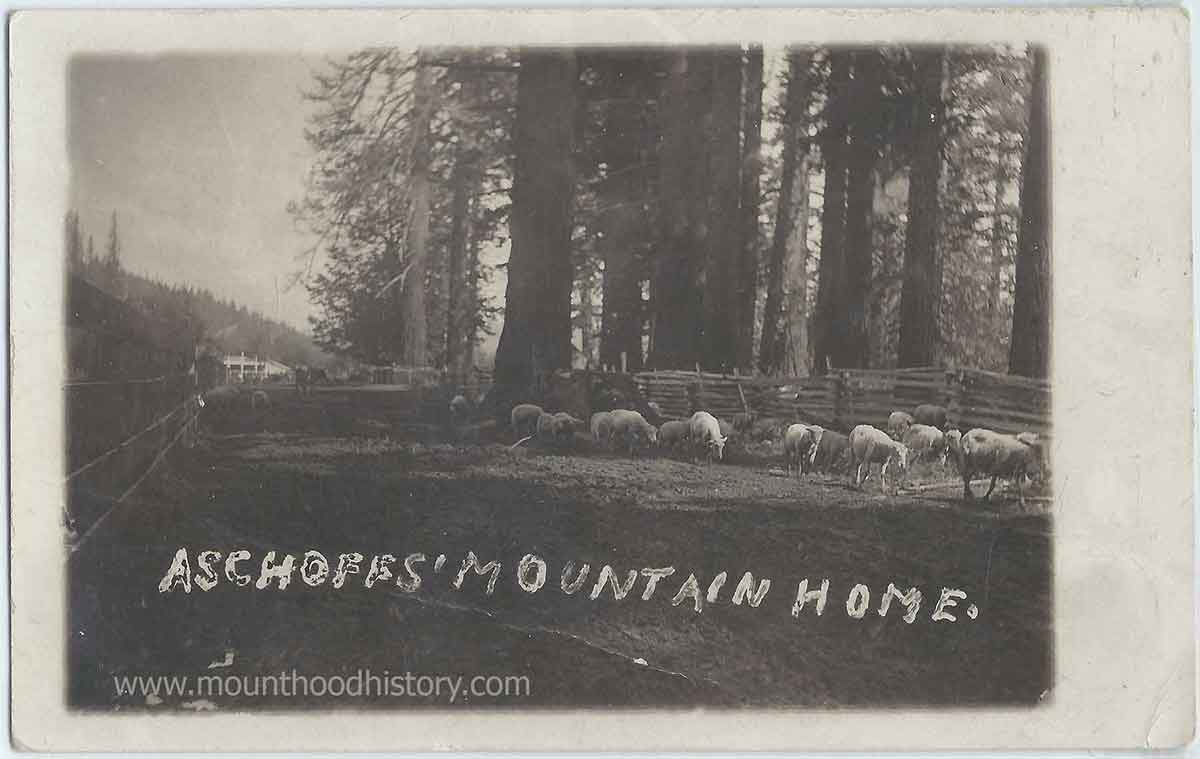 Aschoff's Mountain Home 