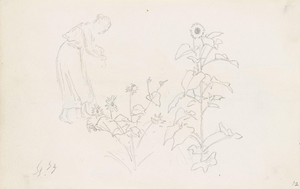 Female figure and plant studies Between 1878 and 1880