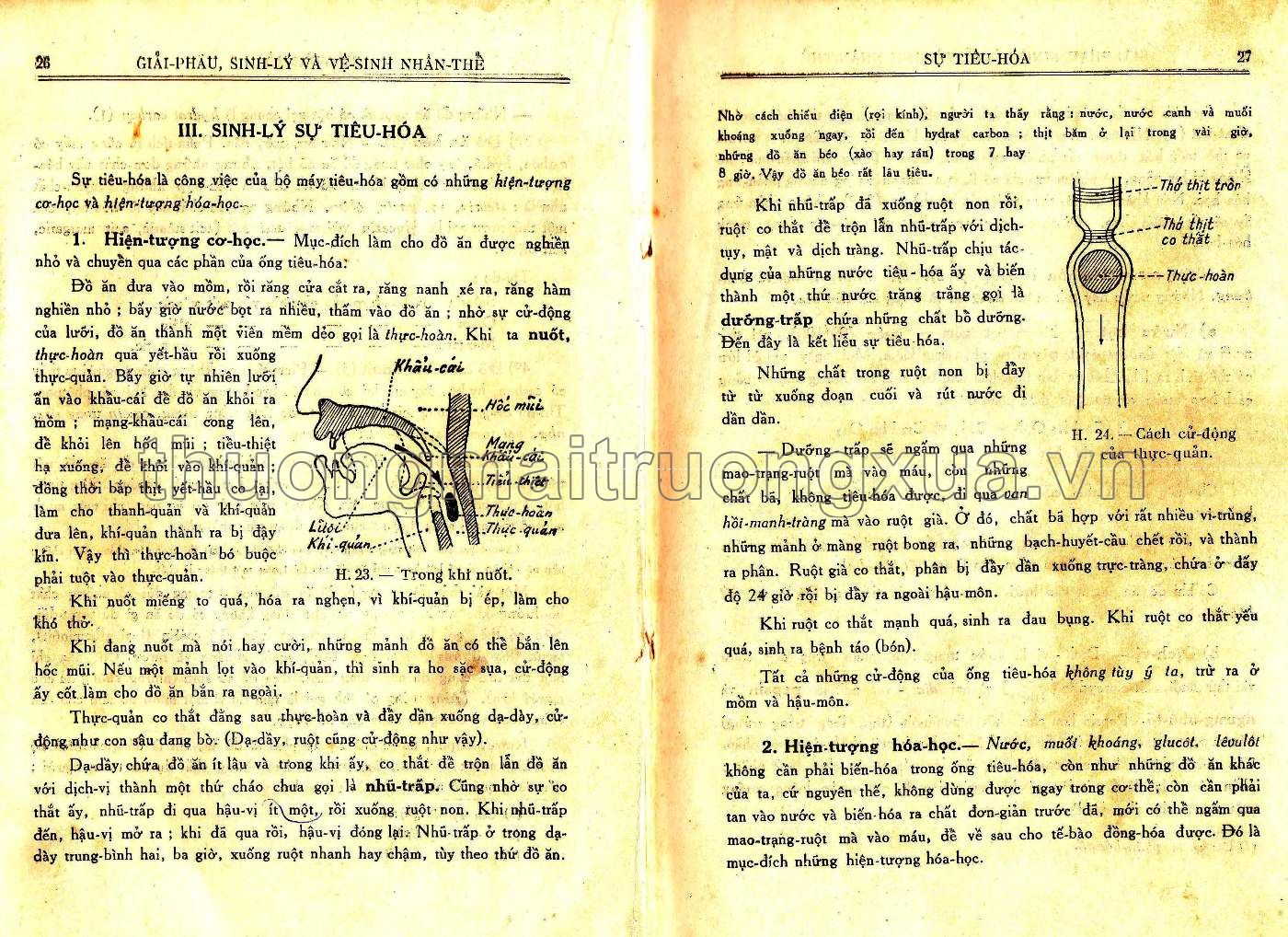 Vạn vật học lớp đệ tứ (1959) - Trang 14