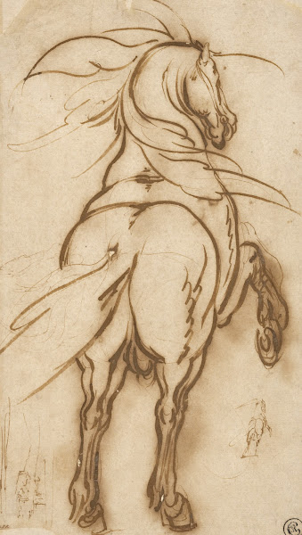Study of a Rearing Horse 1616