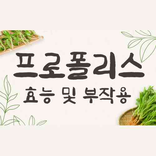 프로폴리스 효능과 부작용 총정리｜면역력 높이는 복용법까지 완벽 가이드