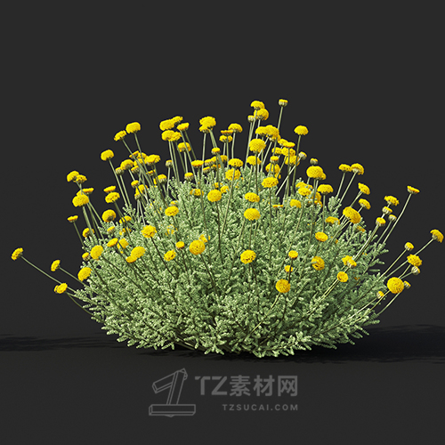 Maxtree - Plant Models Vol.60