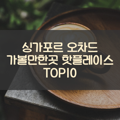 싱가포르 오차드 가볼만한곳 핫플레이스 TOP10 썸네일