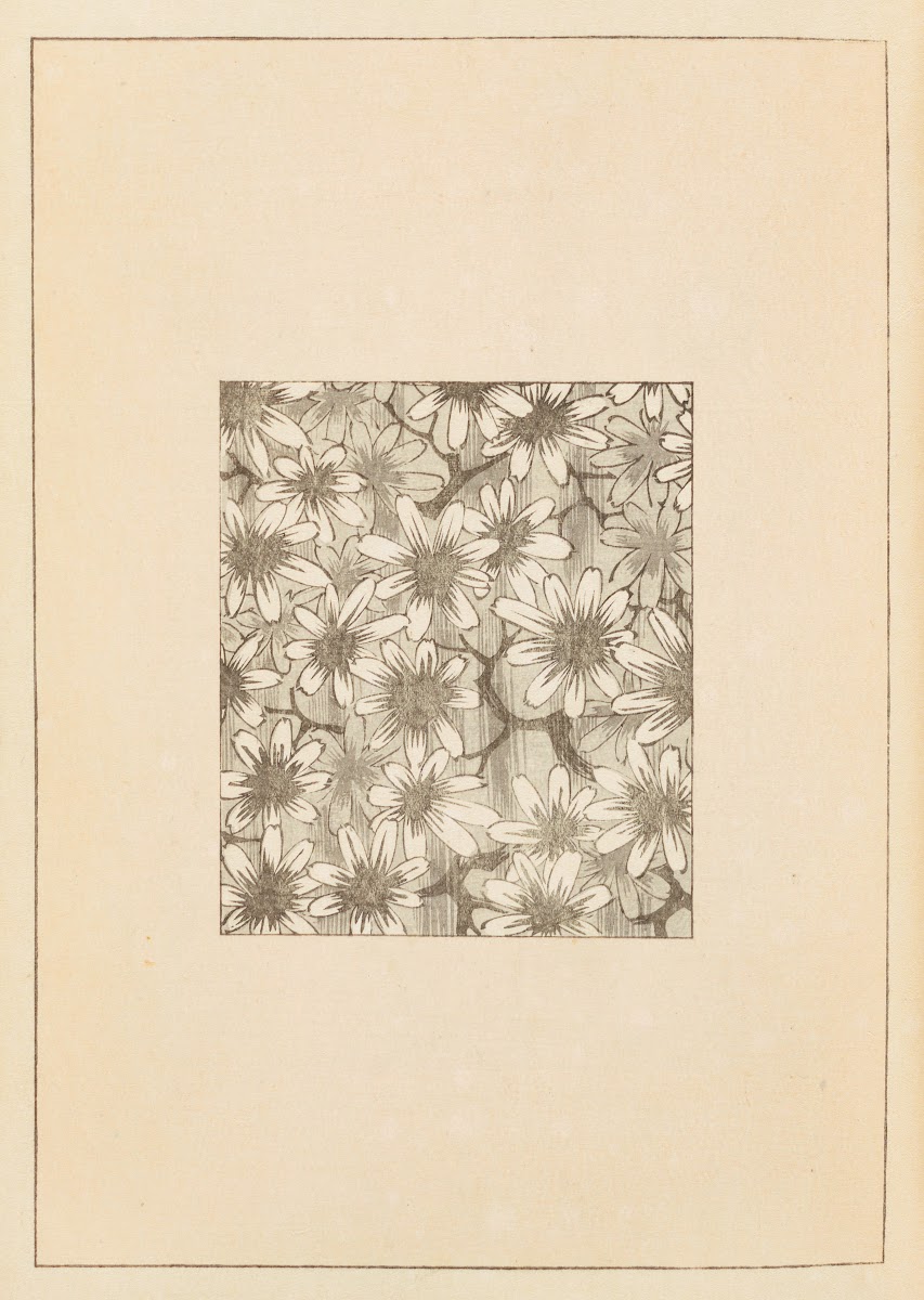Shin Bijutsukai Pl054 1901 1902