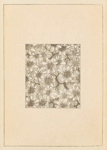 Shin Bijutsukai Pl054 1901 1902