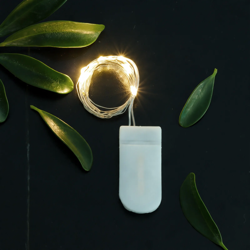 LED Copper Wire String Light with Button Cell Battery Box