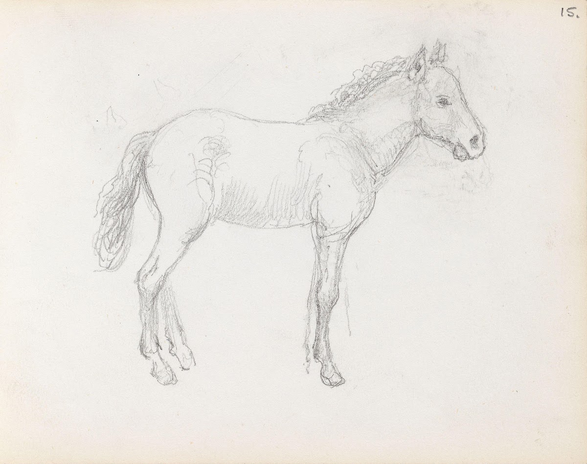 Horse study between 1865 and 1872