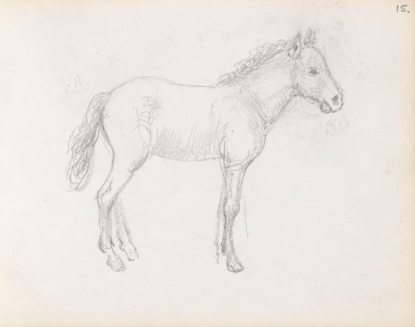 Horse study between 1865 and 1872