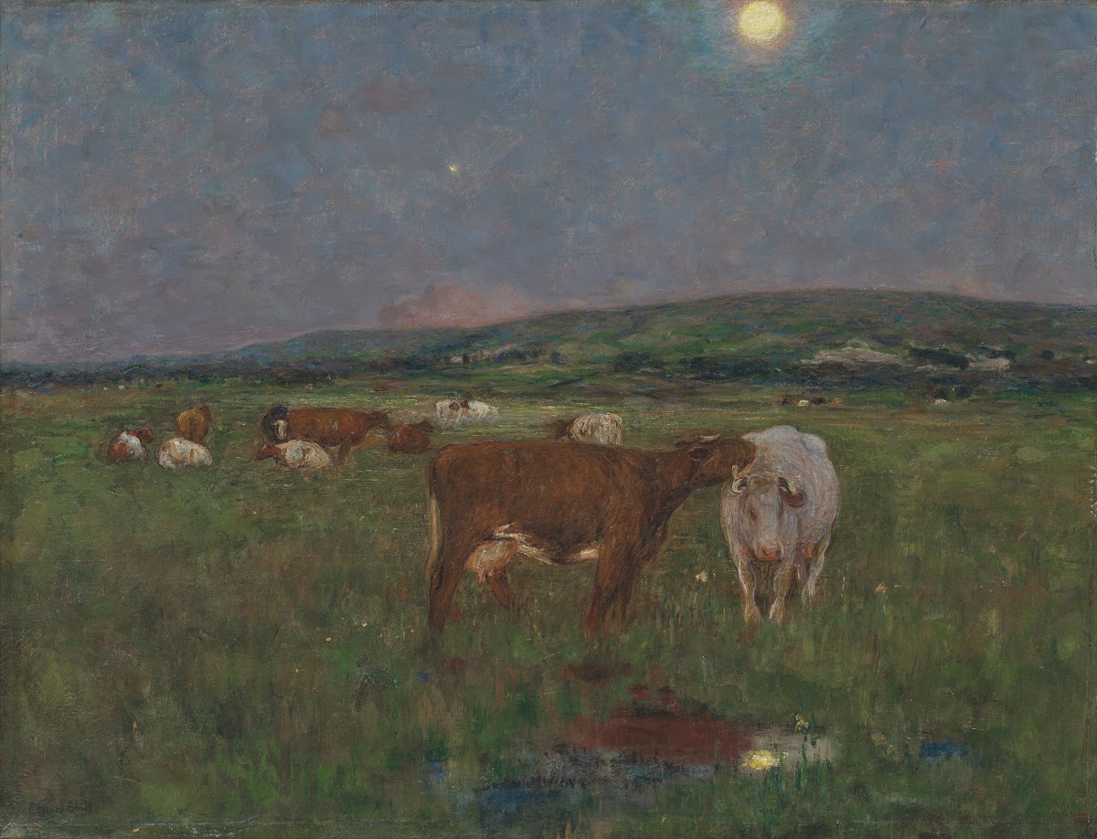 Peaceful Evening