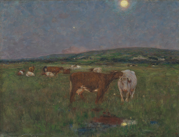 Peaceful Evening