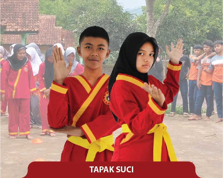 Tapak Suci (Beladiri)