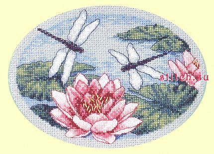 DIM06835 Fragrant Water Lily