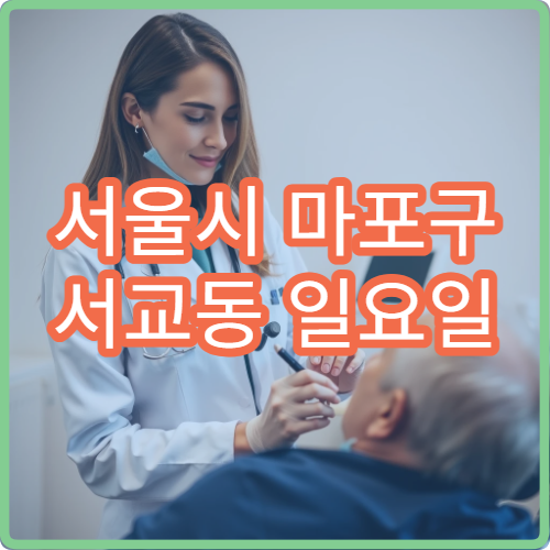 서울시 마포구 서교동 일요일 신경과 불면 두통 진료