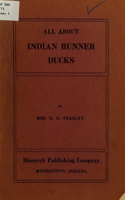 all about indian runner ducks 1912