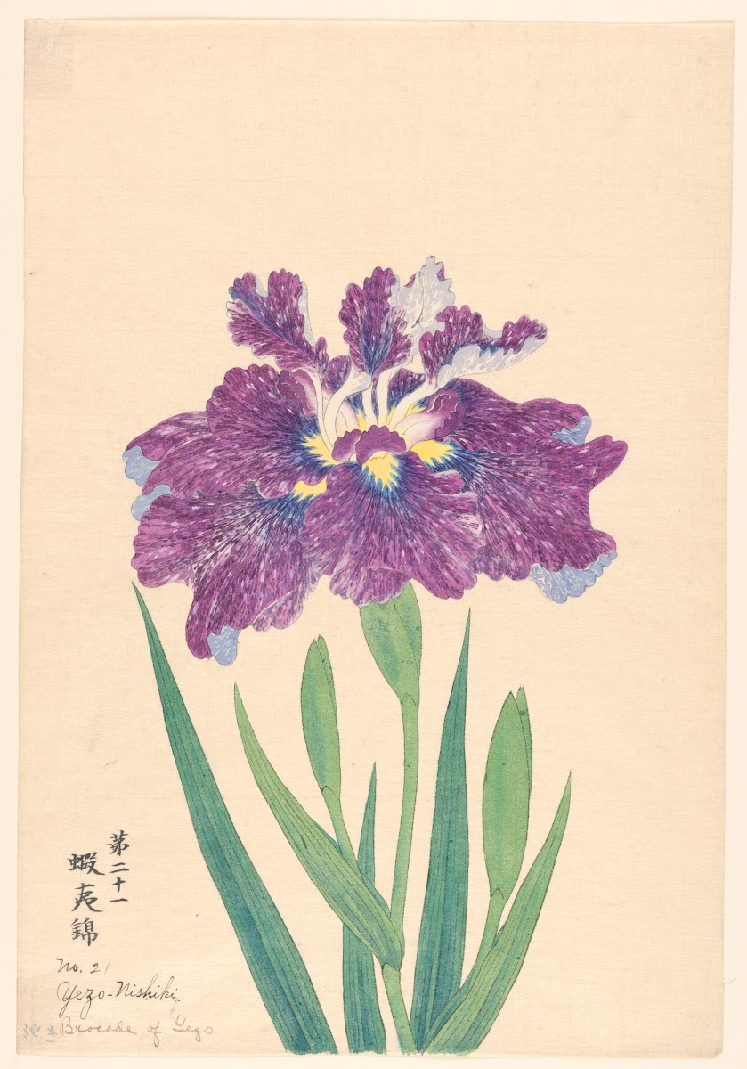 Brocade of Yezo Yezo Nishiki 1910
