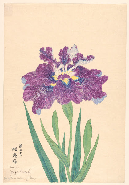 Brocade of Yezo Yezo Nishiki 1910
