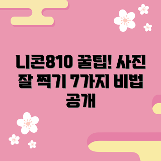니콘810, 사진 촬영 팁, 가을 사진, 2023 사진 트렌드, DSLR 카메라 추천