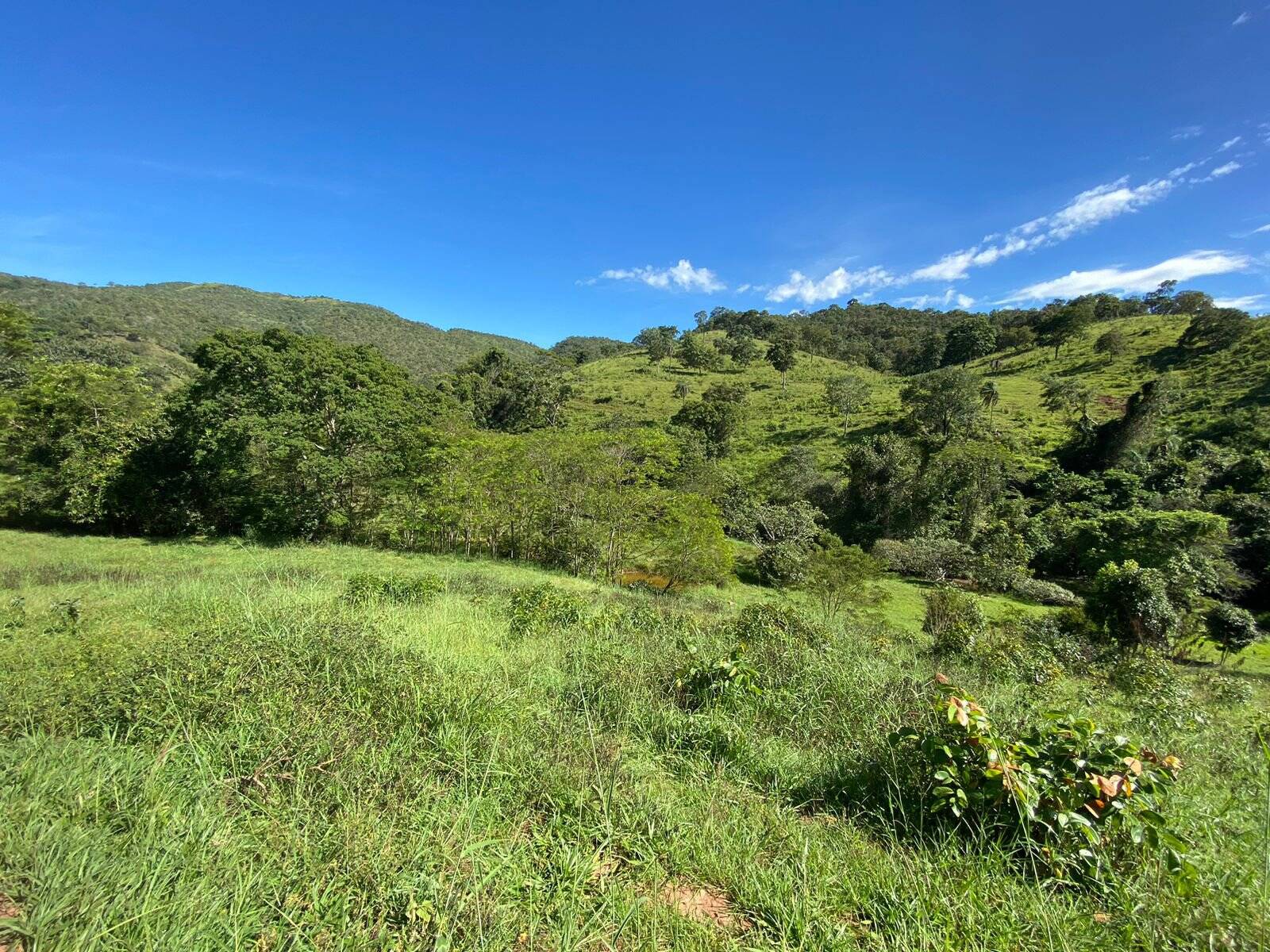 Fazenda em Uruaçu - GO 3