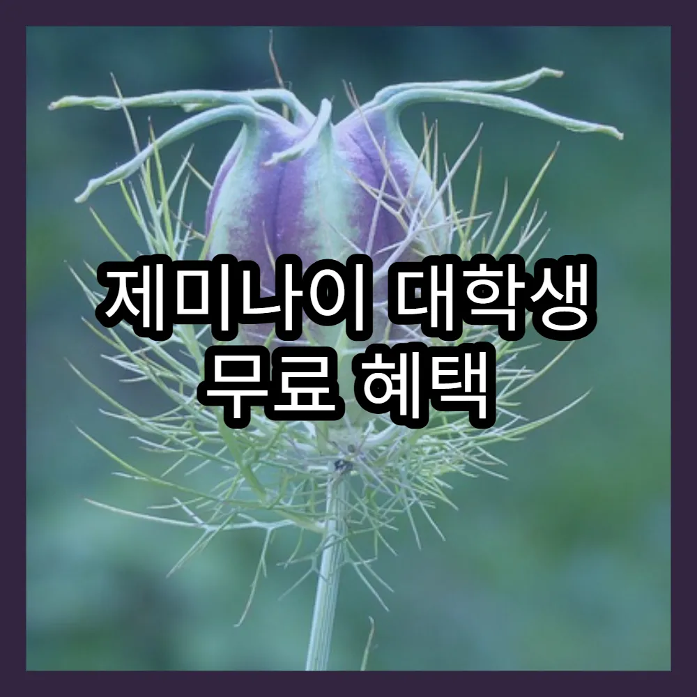 제미나이 대학생 무료 혜택 받기 위한 인증 절차