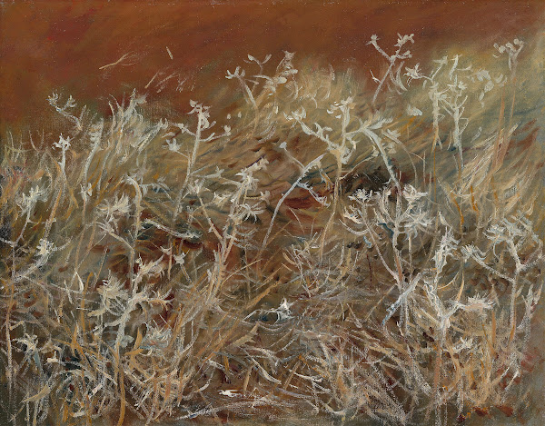 Thistles 1883