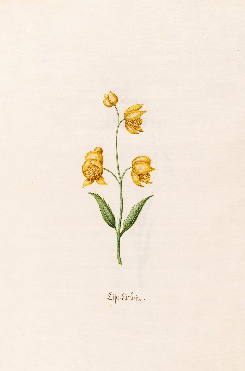 Lilen gütlein 1692