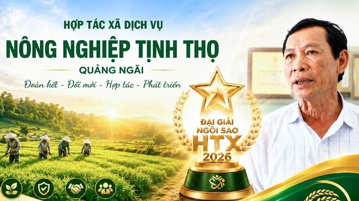 Từ ruộng cát bạc màu đến mô hình HTX tiền tỷ ở Quảng Ngãi - Tạp chí Vnbusiness