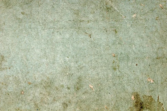 기념일은 어떻게 국가의 공식 기록이 되었을까? 제도화 과정의 역사