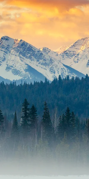 Mountain Landscape, Winter Mountains, Snow Capped Peaks, Coniferous Forest 4K Wallpaper Background