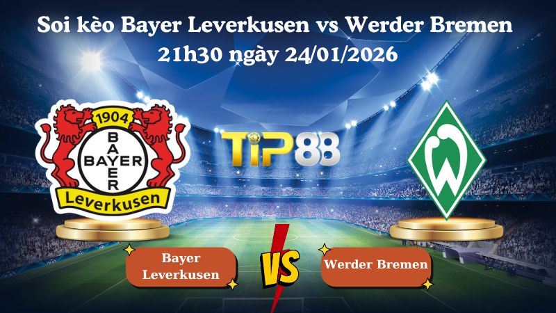 Nhận định soi kèo Bayer Leverkusen vs Werder Bremen 21h30 ngày 24/01/2026