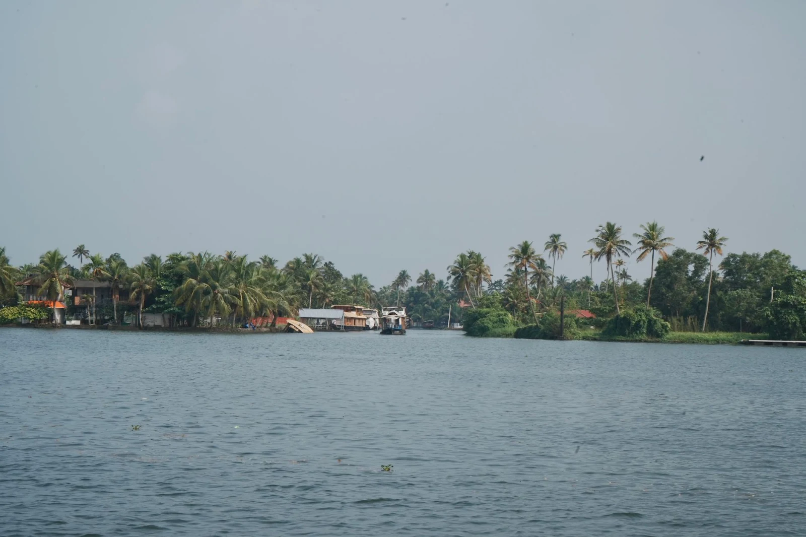 Kumarakom Bird Sanctuary & Backwaters