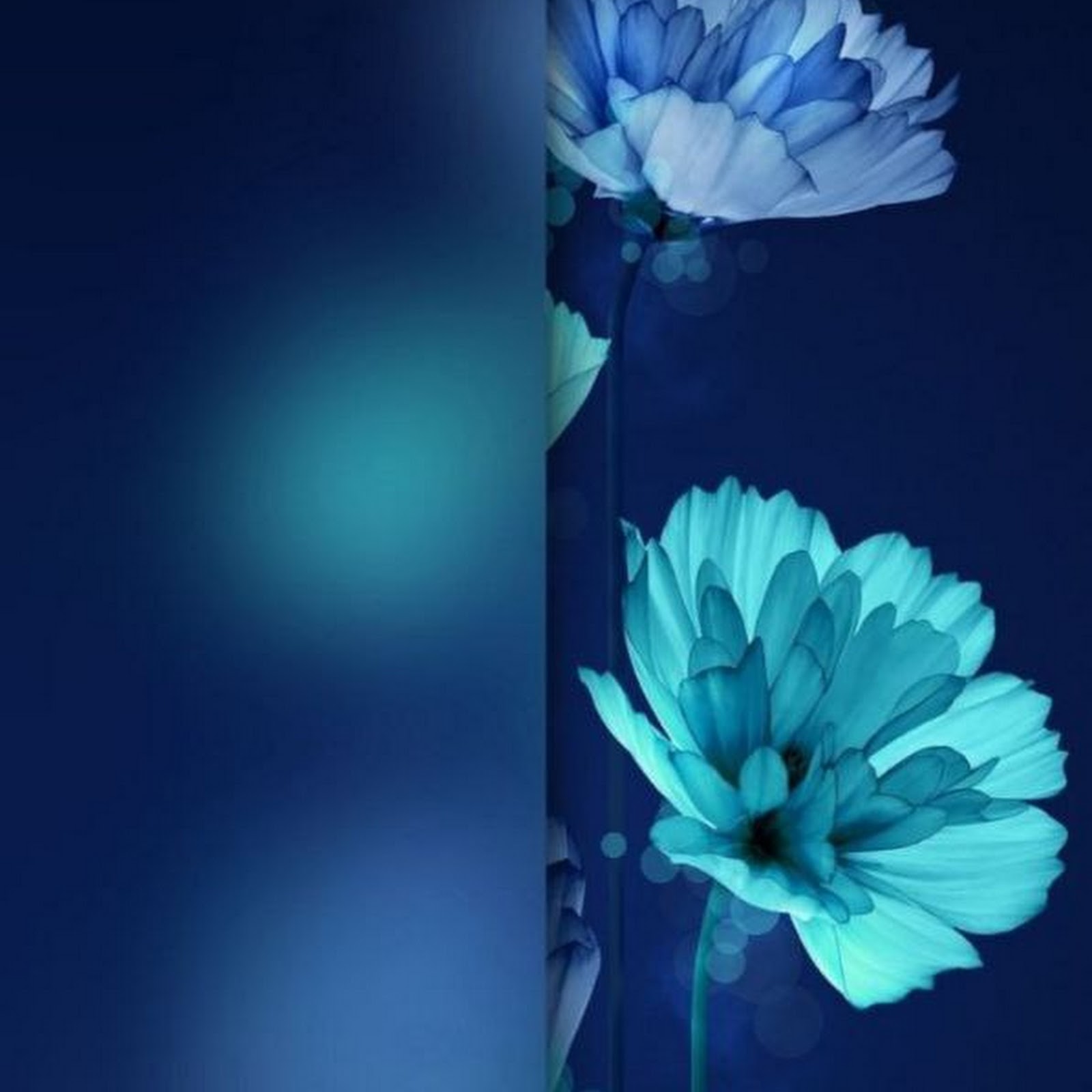 Download Blue Flowers, Abstract Floral, Dark Blue Aesthetic, Modern Flower Art iPhone