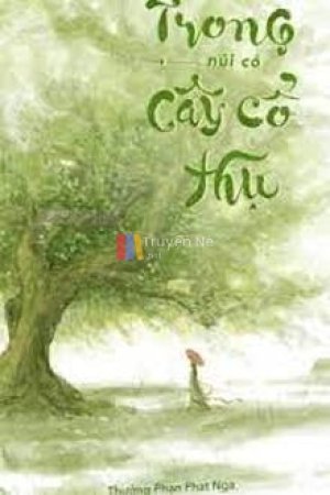 Trong Núi Có Cây Cổ Thụ