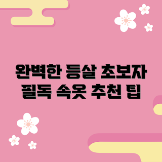등살보정속옷, 보정속옷 추천, 초보자 가이드, 등살 개선, 스타일링 팁