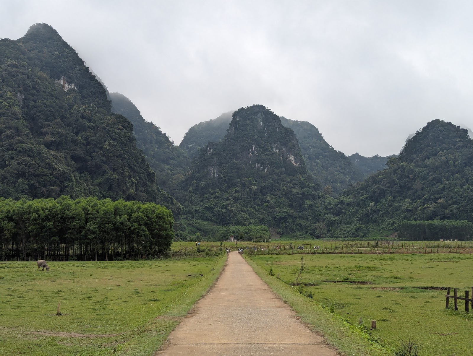 A photo os a dirt road that stretches into the distance before hanging right,
                 surround on the sides by farmland. A water buffalo can be seen grazing.
                 In the near background, some lush mountains rise quickly out of the ground,
                 a layer behind occluded by some clouds.