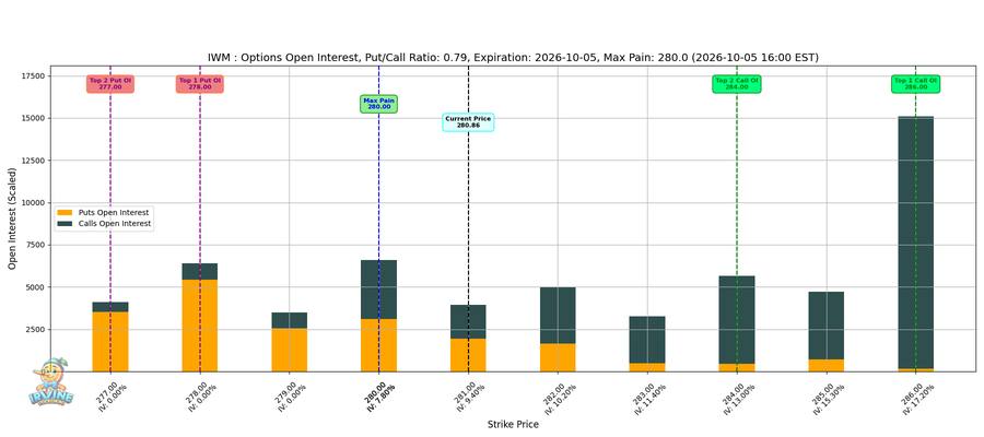 IWM Options