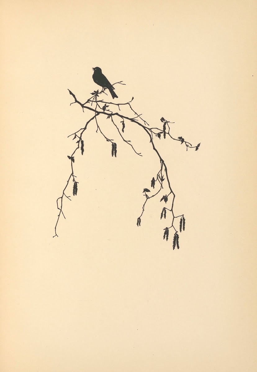 Vertrauen Pl30 1933