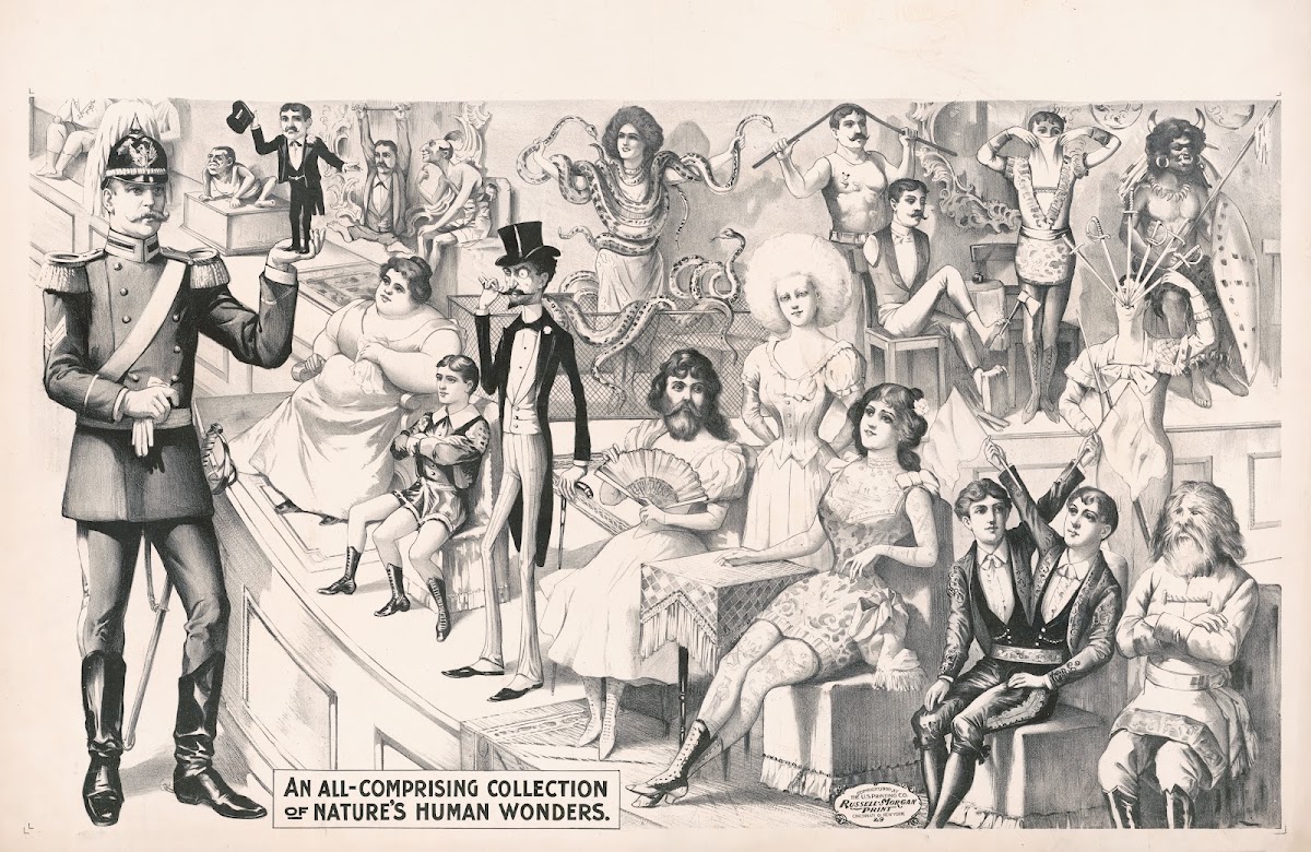 An all compromising collection of natures human wonders 1900