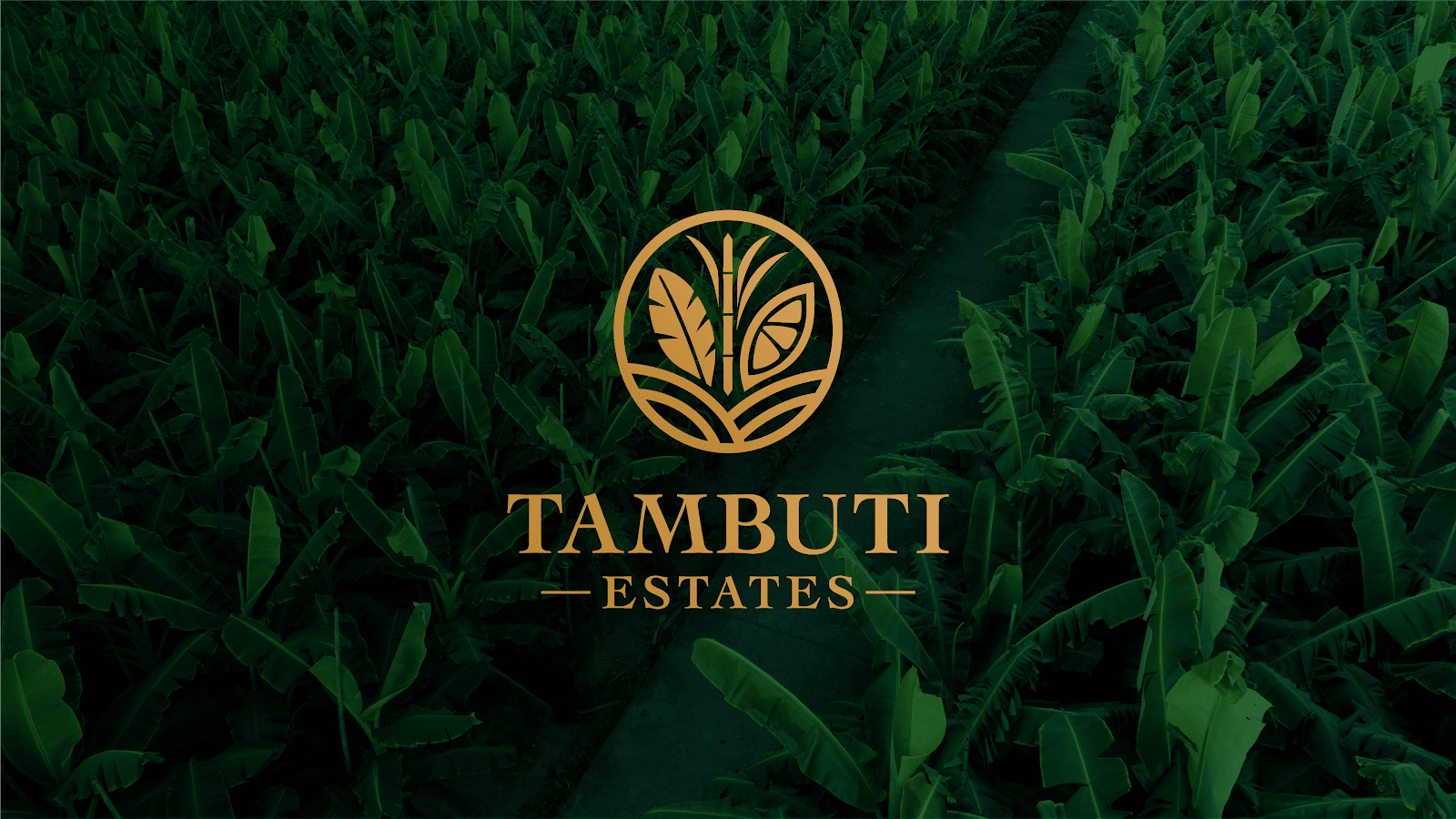 Tambuti Estates