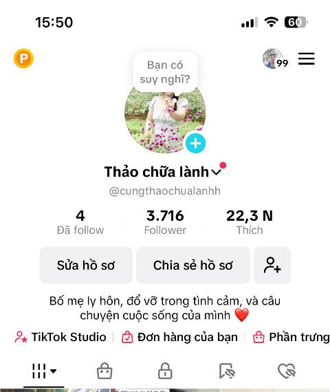 Ng-Phuong-Thao-chua-lanh-1