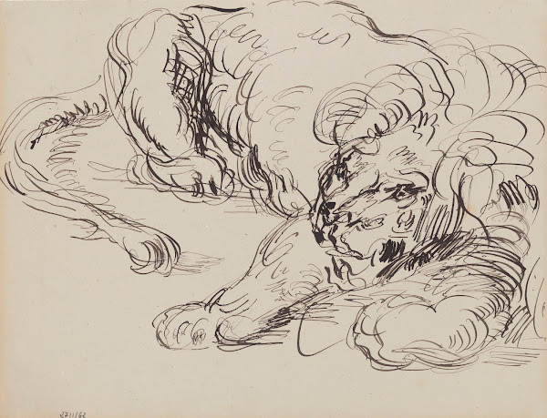 Lion Resting 1885 1886