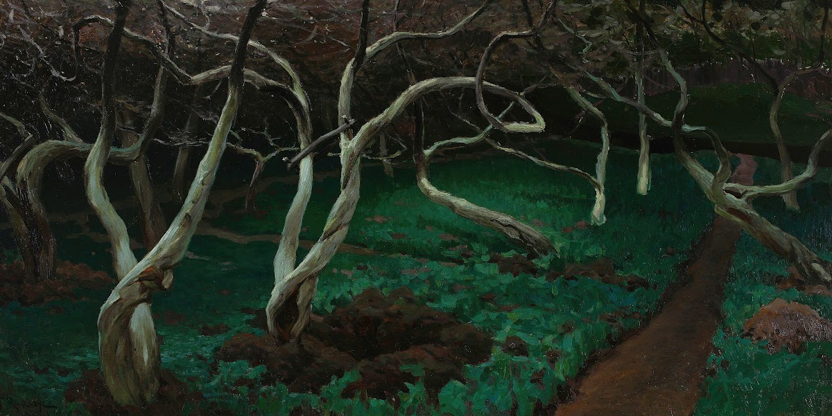 Old apple trees 1903