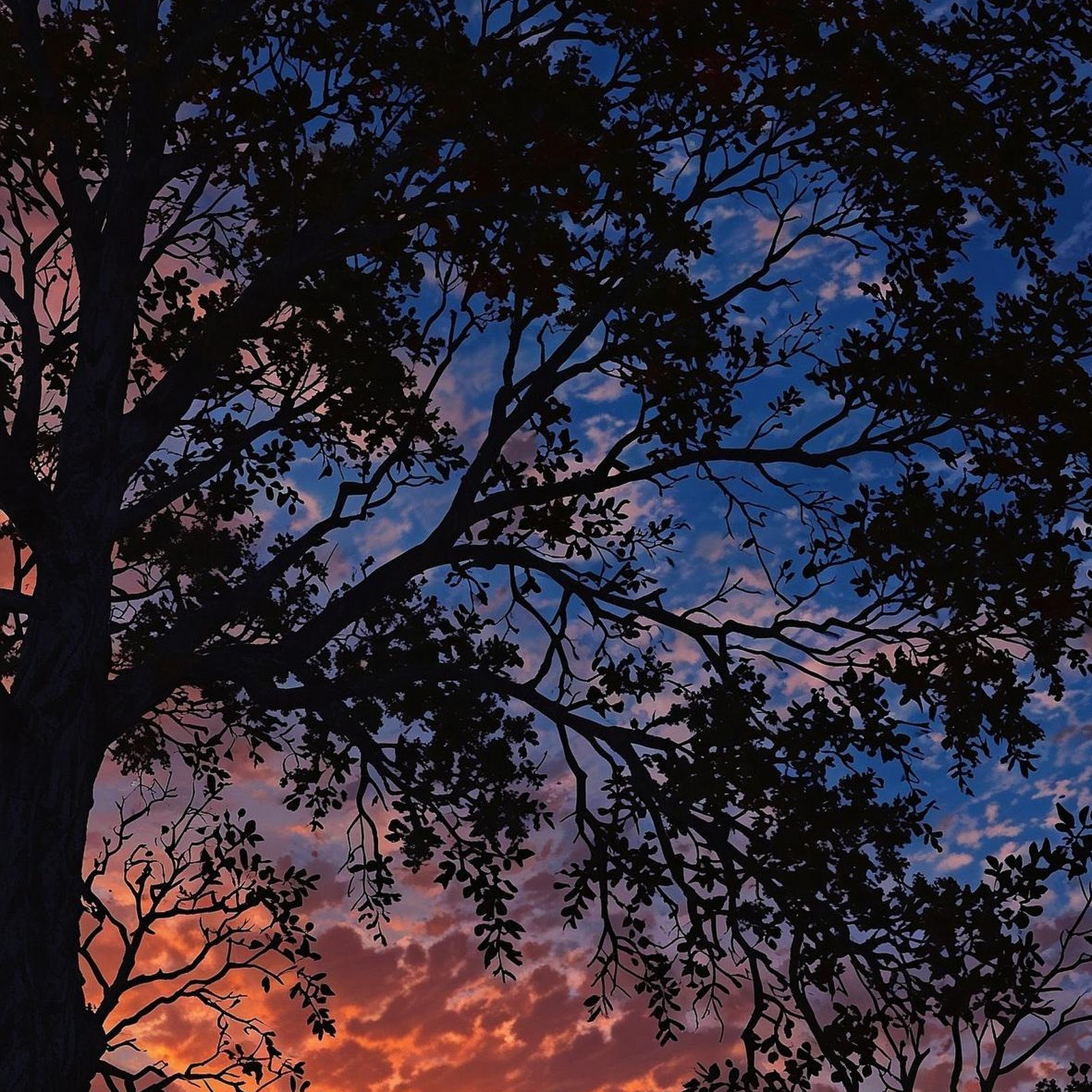 Download Dramatic Sunset Over Dark Hills Full HD iPhone