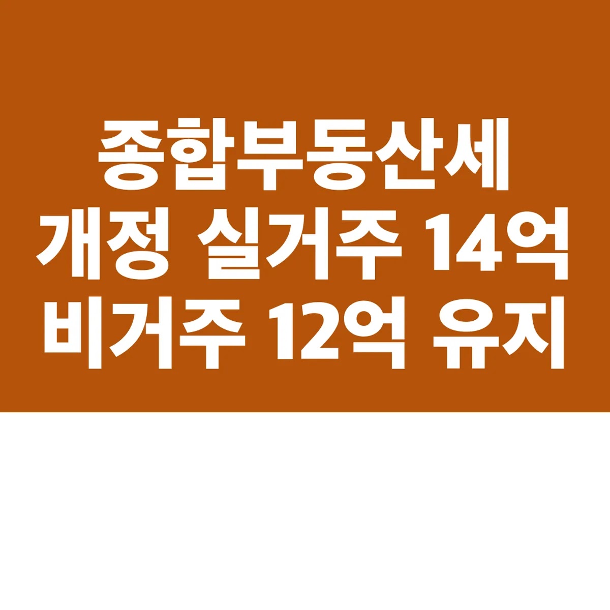 종합부동산세 개정 실거주 14억 비거주 12억 유지