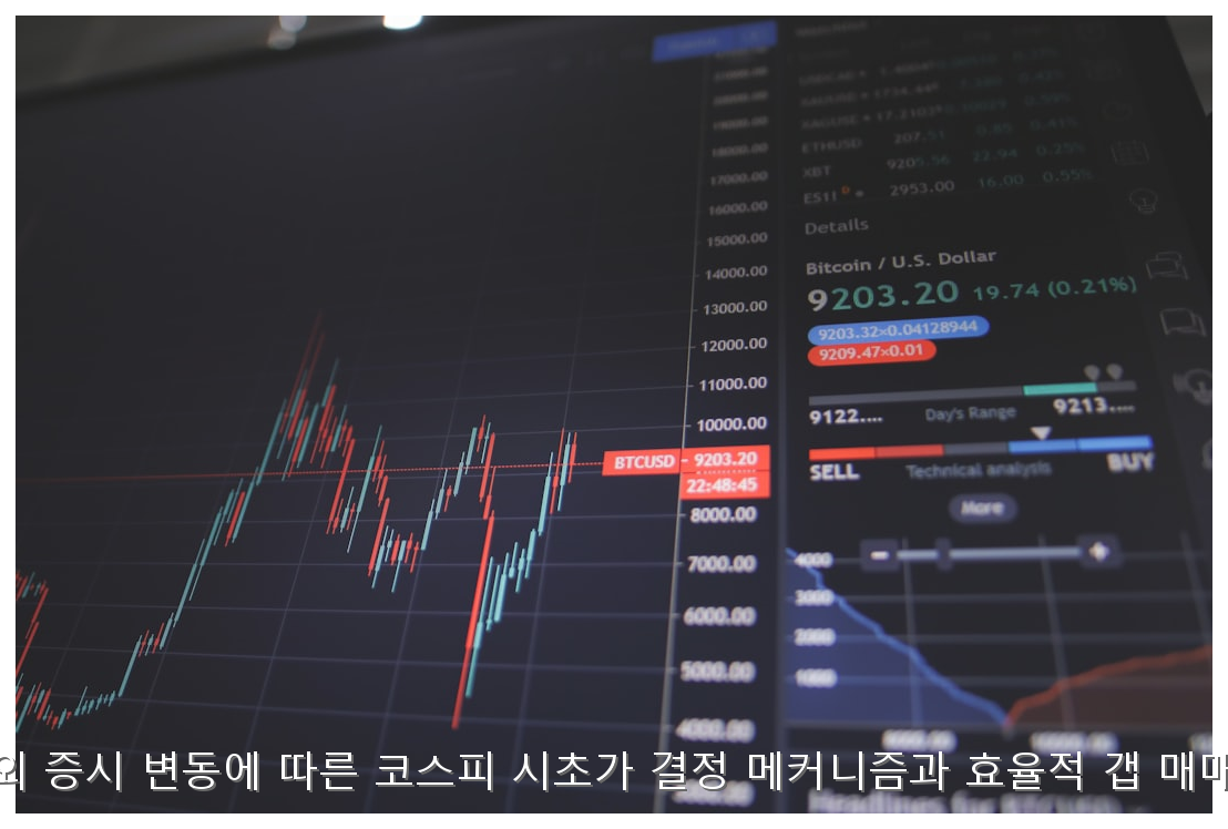 갭 매매 대응 전략 및 시초가 결정 메커니즘 핵심 안내 및 분석 인포그래픽 (6)