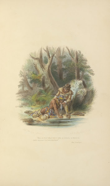 The Deerslayer 1870s