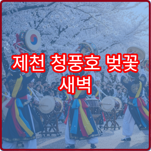 제천 청풍호 벚꽃 새벽 6시 산책 호수반사 인생샷 포인트