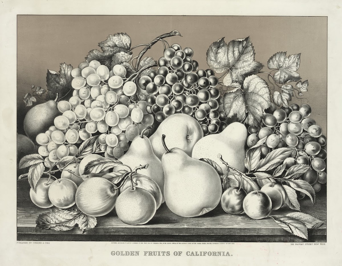 Golden fruits of California 1869