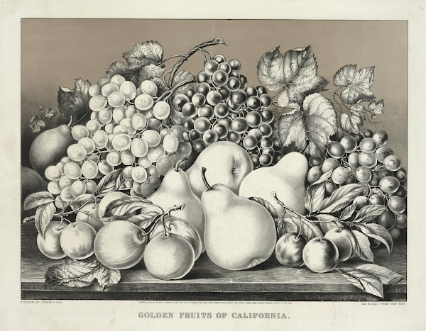 Golden fruits of California 1869