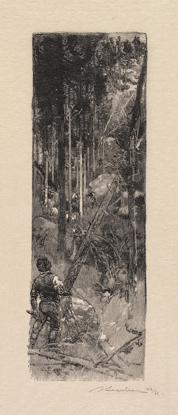 Cutting of Pines 1890