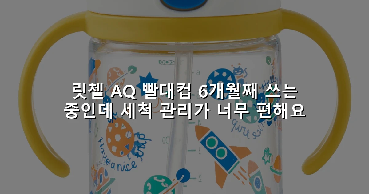 릿첼 AQ 빨대컵 6개월째 쓰는 중인데 세척 관리가 너무 편해요